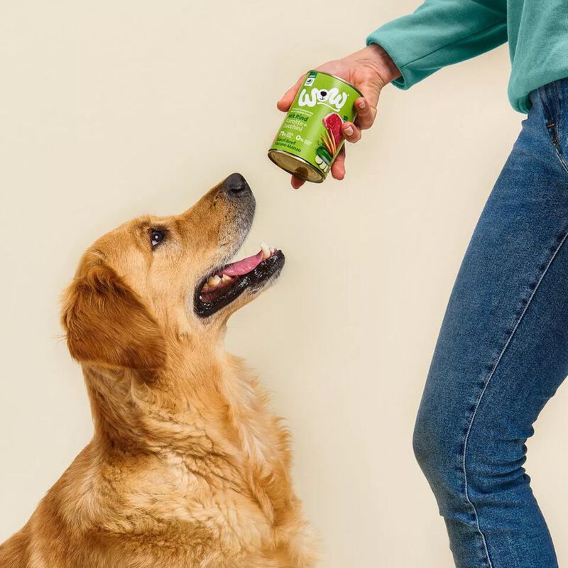 Wow Dog Adult Manzo con Carote e Zucchine 800 gr