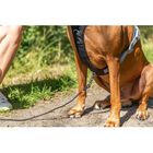 Trixie Pettorina Active Color Salvia Tg M