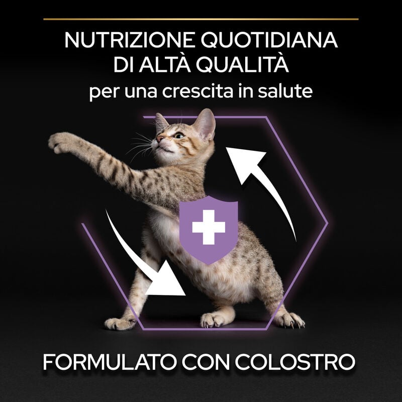 Purina Pro Plan Healthy Start Cat Kitten 1-12 mesi Pollo 400 gr