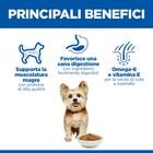 Hill's Science Plan Dog Small & Mini Adult con Pollo 300 gr