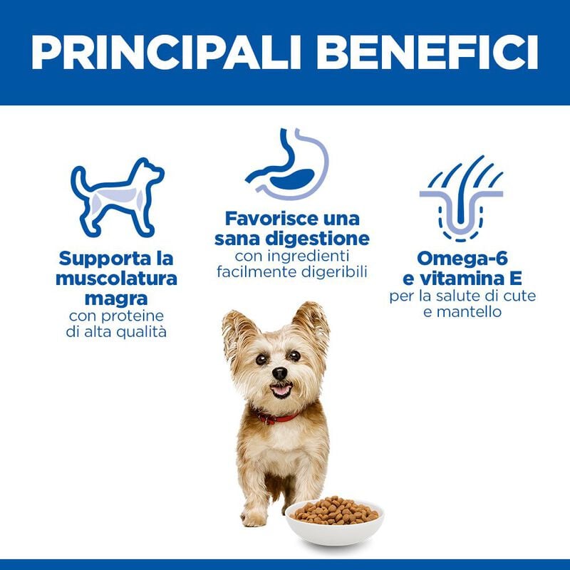 Hill's Science Plan Dog Small & Mini Adult con Pollo 300 gr