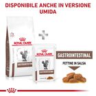 Royal Canin Veterinary Diet Cat Gastrointestinal 2 kg
