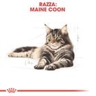 Royal Canin Cat Adult Maine Coon 2 kg