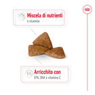Royal Canin Dog Senior +12 anni X-Small 500 gr