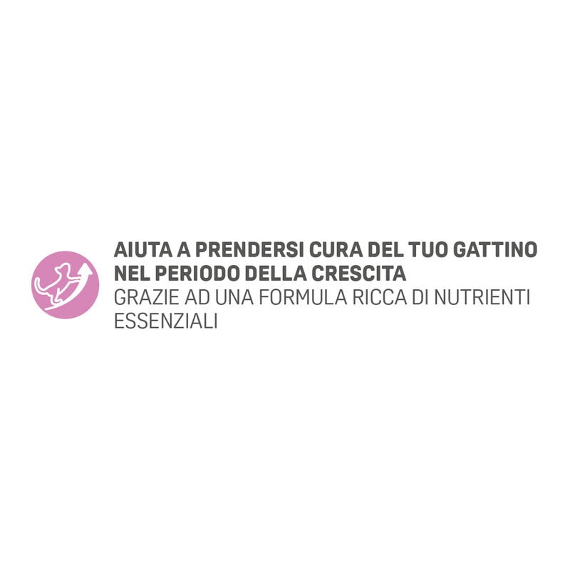 Natural Trainer Cat Kitten con Pollo Fresco 1,5 kg