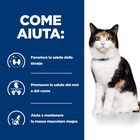 Hill's Prescription Diet Cat y/d Thyroid Care Pat&eacute; con Pollo 156 gr