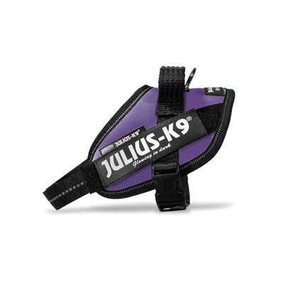 Julius-K9 Pettorina per cani mini IDC Powerharness Tg.1-L Viola