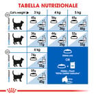 Royal Canin Cat Adult Indoor 27 400 gr