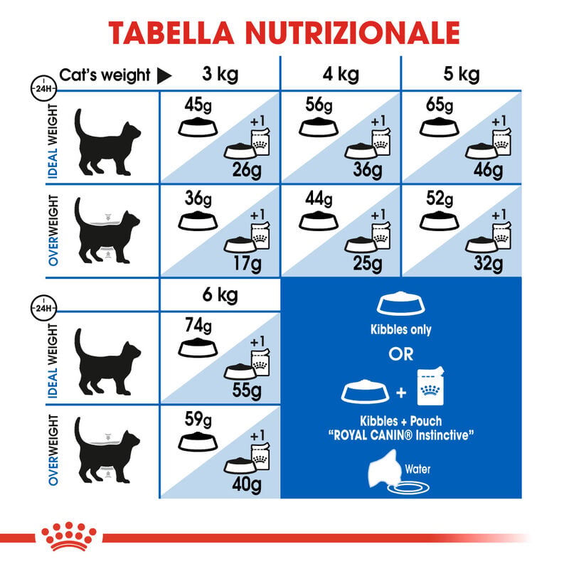 Royal Canin Cat Adult Indoor 27 400 gr