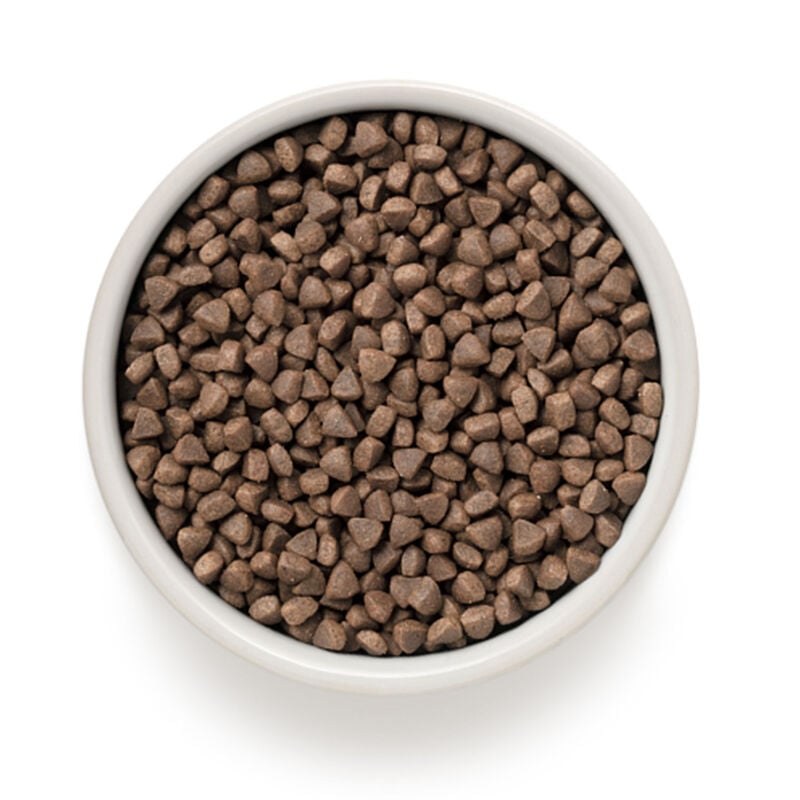 Grandorf Cat Sterilized Coniglio Tacchino 2Kg