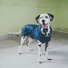 Hunter Impermeabile per cani Milford colore Blu tg. 45
