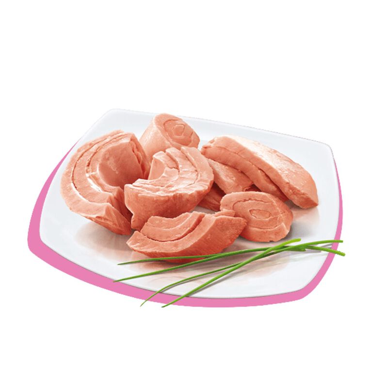 Petreet Cat 100% Monoproteico Tonno 60 gr