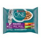 Purina One Cat Appetito Difficile Filettini in Salsa 4 pz x 85 gr