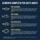 Felix Sfilaccetti Rustici Fish Selection Salmone, Tonno, Merluzzo e Platessa 12 x 80 gr