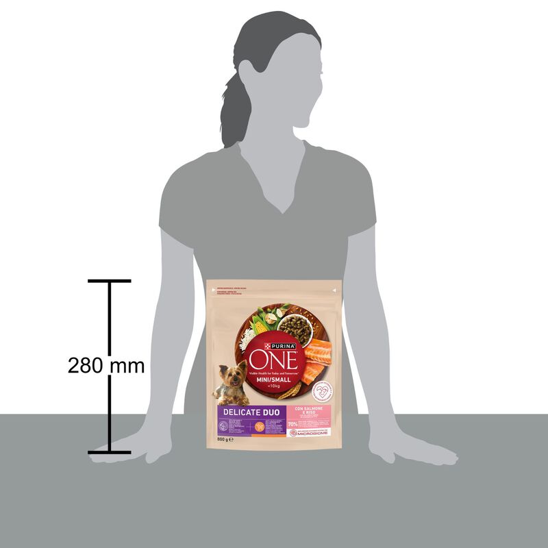 Purina One Dog Mini Delicate con Salmone e Riso 800 gr