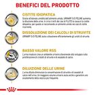 Royal Canin Veterinary Diet Cat Urinary S/O Loaf 12x85 gr