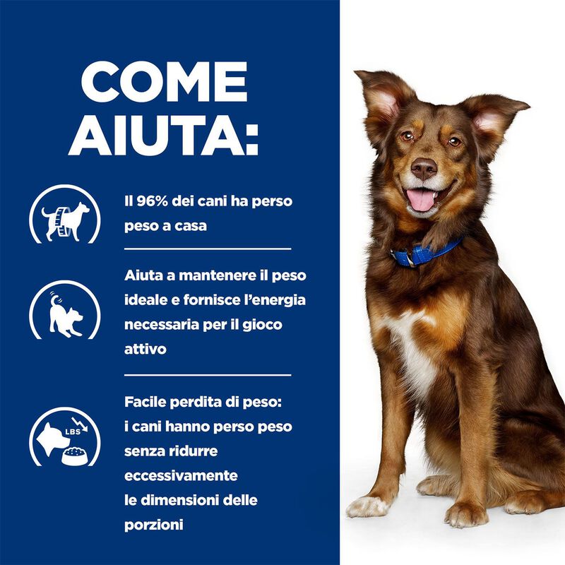Hill's Prescprition Diet Dog Metabolic al Pollo 200 gr