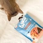Wow Cat Adult Salmone con Mirtilli Rossi 325 gr