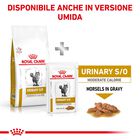 Royal Canin Veterinary Diet Cat Urinary S/O Moderate Calorie 1,5 kg