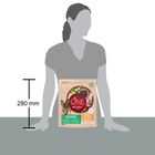 Purina One Dog Mini Active con Pollo e Riso 800 gr