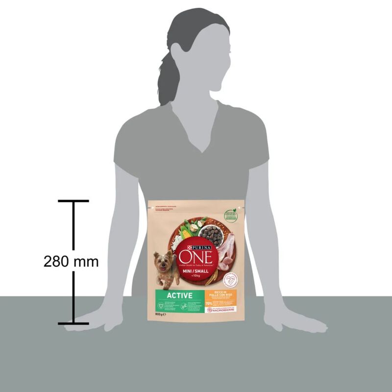 Purina One Dog Mini Active con Pollo e Riso 800 gr