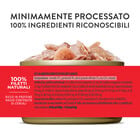 Schesir Cat Adult Tonnetto con gamberetti jelly 85g