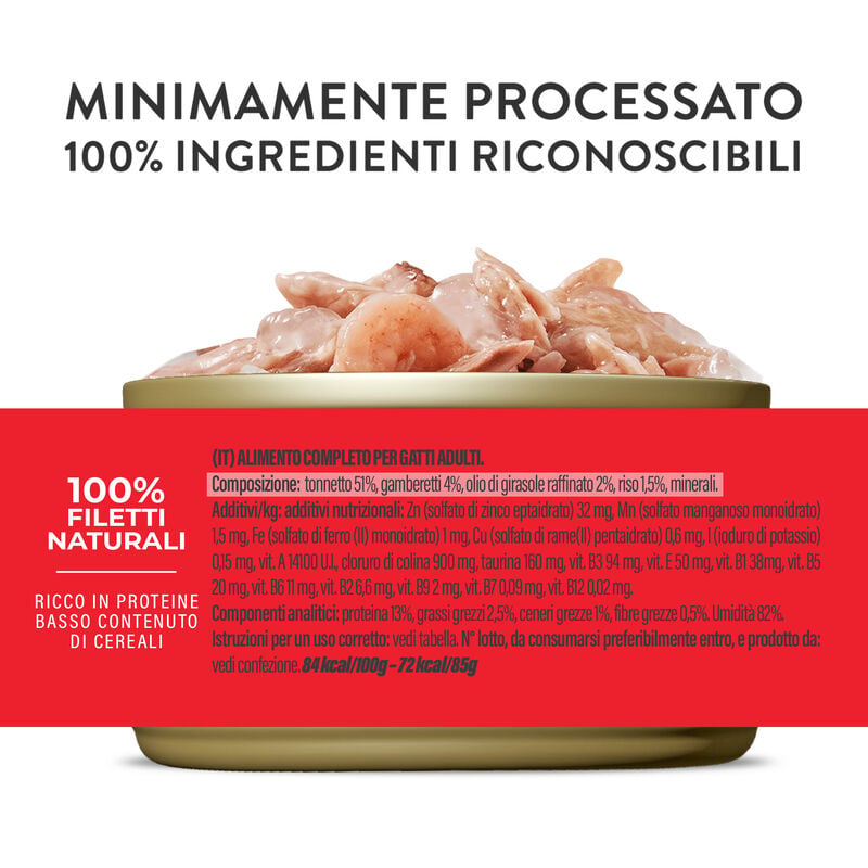 Schesir Cat Adult Tonnetto con gamberetti jelly 85g