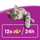 Whiskas Temptations con Pollo e Formaggio 60gr