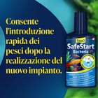 Tetra SafeStart Bacteria 50 ml - Scad 31 Agosto 26