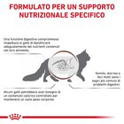 Royal Canin Veterinary Diet Cat Gastrointestinal Moderate Calorie 2 kg