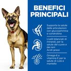 Hill's Science Plan Dog Large Breed Mature Adult 6+ con Pollo 12 kg