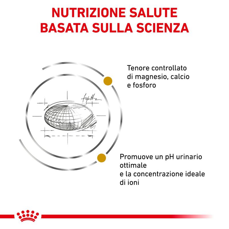 Royal Canin Veterinary Diet Cat Urinary S/O 7 kg