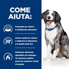 Hill's Prescription Diet Dog i/d Sensitive con Uova e Riso 12 kg