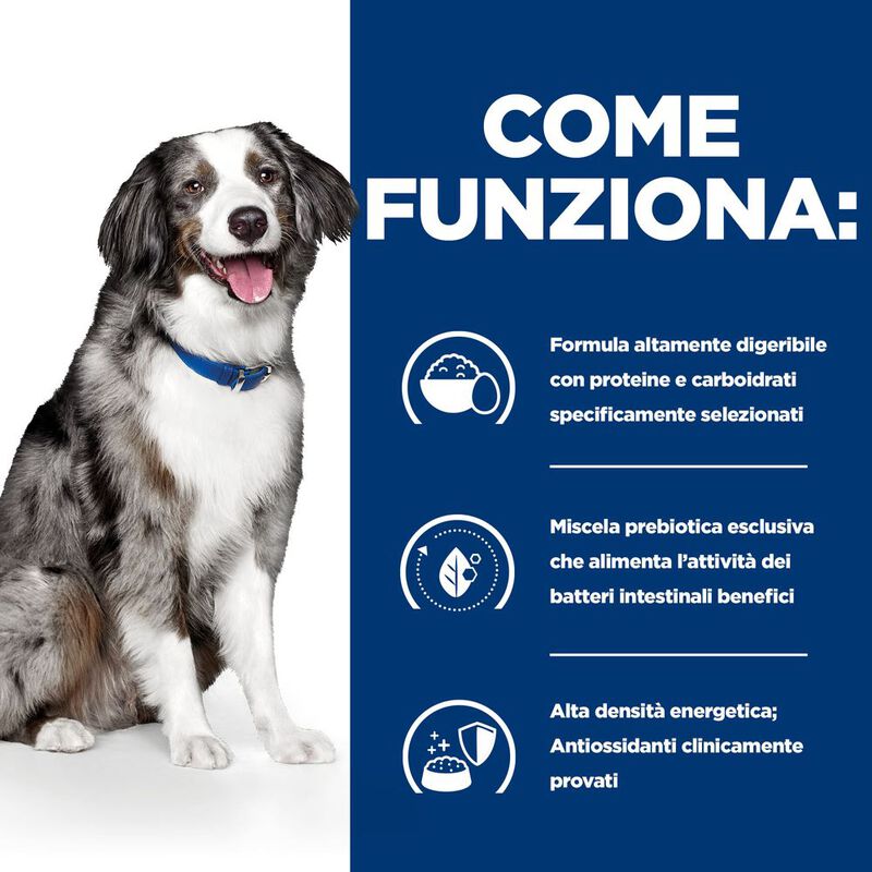 Hill's Prescription Diet Dog i/d Sensitive con Uova e Riso 1,5 kg