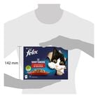 Felix Le Ghiottonerie Cat Selezioni Deliziose con Manzo e Pollo 12 x 85 gr