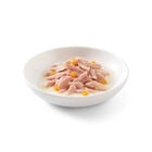 Schesir Cat Tonnetto con Zucca in brodo 70 gr