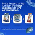 N&D Farmina Ocean Dog Adult Mini Merluzzo, Zucca & Arancia 7 kg
