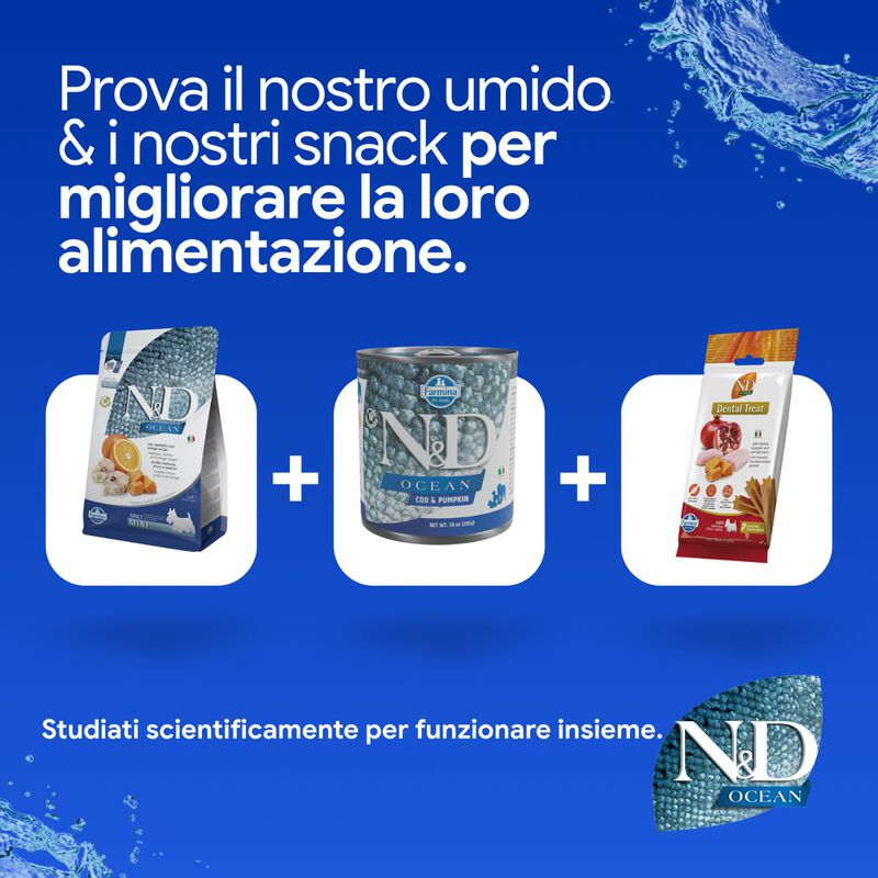 N&D Farmina Ocean Dog Adult Mini Merluzzo, Zucca & Arancia 7 kg