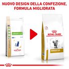 Royal Canin Veterinary Diet Cat Urinary S/O 400 gr