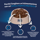 Monopro Dog Adult Mini Manzo 2 kg