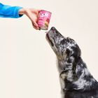 Wow Dog Adult Selvaggina con Alghe Marine e Patate Dolci 400 gr