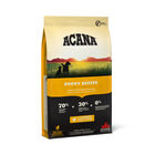 Acana Dog Puppy Recipe con Pollo Fresco 11,4 kg