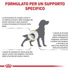 Royal Canin Veterinary Diet Dog Urinary S/O 2 kg
