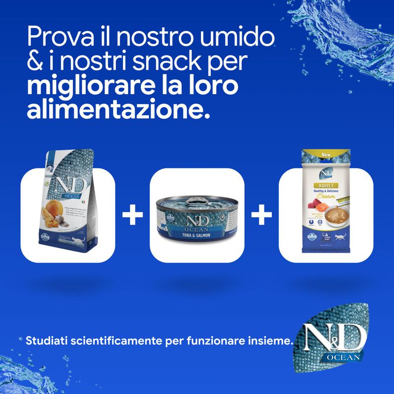 N&D Farmina Ocean Cat Adult Aringa, Zucca & Arancia 1,5 kg