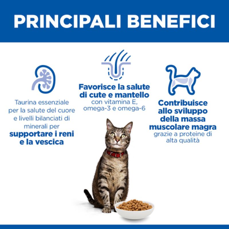 Hill's Science Plan Cat Adult al Pollo 10 kg
