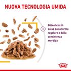 Royal Canin Cat Adult Sensory Taste Salsa 85 gr