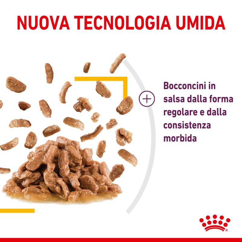 Royal Canin Cat Adult Sensory Taste Salsa 85 gr