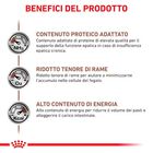 Royal Canin Veterinary Diet Dog Adult Hepatic 200 gr