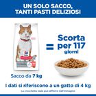 Hill's Science Plan Cat Adult Sterilised Salmone 300 gr