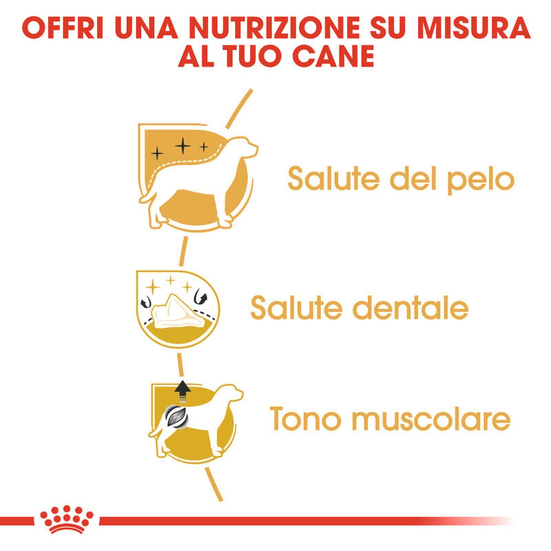 Royal Canin Dog Adult e Senior Barboncino 1,5 kg
